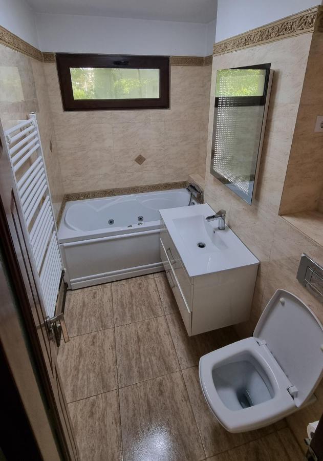 Stone Bridge Apartment Iasi Buitenkant foto